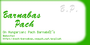 barnabas pach business card